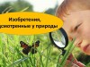 Аукцион знаний «Изобретения, подсмотренные у природы»