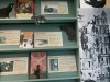 «Мяукающая дивизия»: коты и кошки в блокадном Ленинграде!