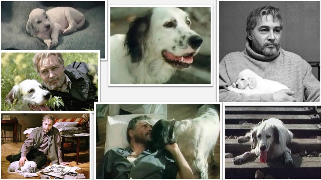 -OkomQD9DPtexjatvsh7PKTQRph1ZA1dFMWnZVZuRgdfNrn7Bf53rJ_2bfSoO4iZGmjcJWDCGGmPGfExHdA30bdF.jpg -OkomQD9DPtexjatvsh7PKTQRph1ZA1dFMWnZVZuRgdfNrn7Bf53rJ_2bfSoO4iZGmjcJWDCGGmPGfExHdA30bdF.jpg