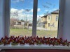 «ЗВЕЗДА ПОБЕДЫ»