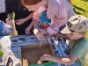 Часовская библиотека приняла участие в праздновании юбилея села Часово!